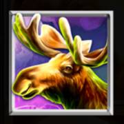 Wolf Fang Iron Wolf: Alce
