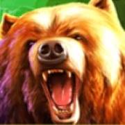 Wolf Fang Winter Storm: Orso