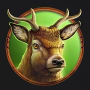 Wolf Strike Hold and Win Extra: Renna