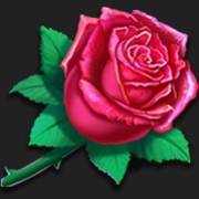 Zorro Wild Heart: Rosa