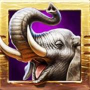 Zulu Gold: Elefante