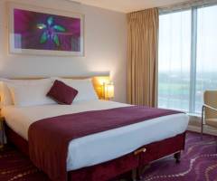 Emerald Casino Clondalkin: Singolo