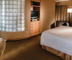 New York-New York Hotel & Casino: Attico