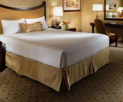 New York-New York Hotel & Casino: Parco Premier King
