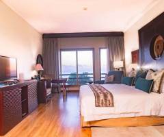 Sea Cliff Casino: Esecutivo