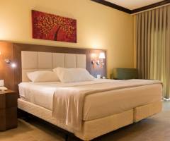 Guyana Princess Casino: Singolo standard
