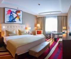 Cash Ville Casino Kazakhstan: Anteprima Junior