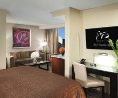 Aria Resort & Casino Las Vegas: Studio Suite panoramica