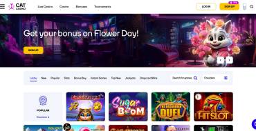 100 FS from Cat Casino for registration: Casinò Cat