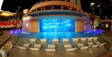 Golden Nugget Hotel & Casino Las Vegas: La vasca e la piscina HideOut