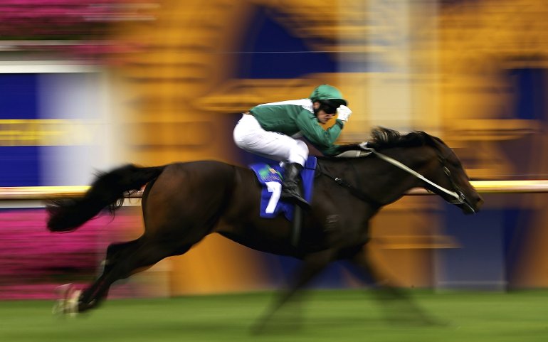 Cavallo da corsa e cavaliere